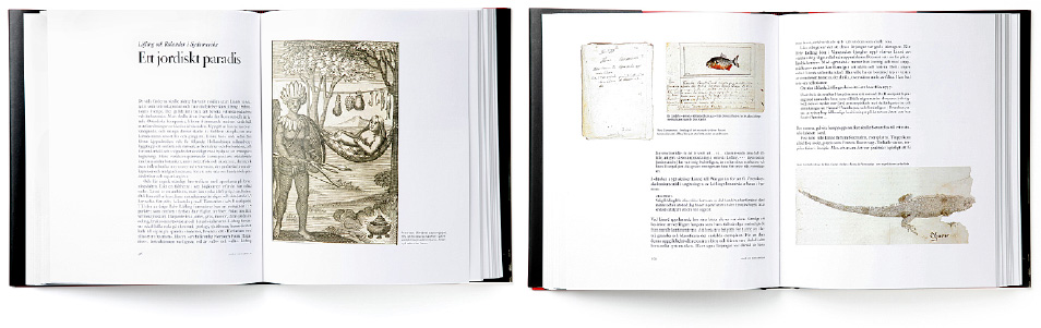 Linn&eacute; och hans apostlar